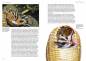 Preview: Der Sugar Glider